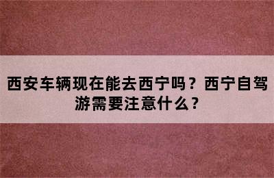 西安车辆现在能去西宁吗？西宁自驾游需要注意什么？