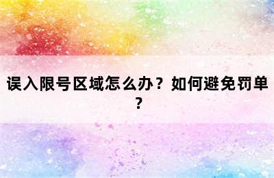 误入限号区域怎么办？如何避免罚单？
