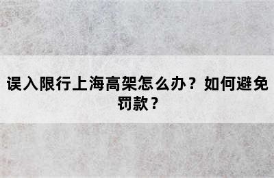 误入限行上海高架怎么办？如何避免罚款？