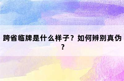 跨省临牌是什么样子？如何辨别真伪？