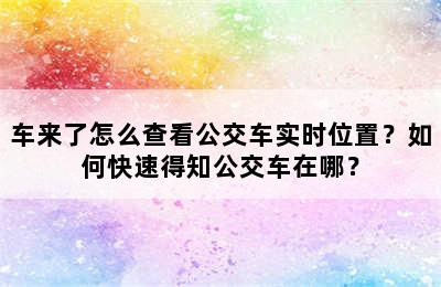 车来了怎么查看公交车实时位置？如何快速得知公交车在哪？
