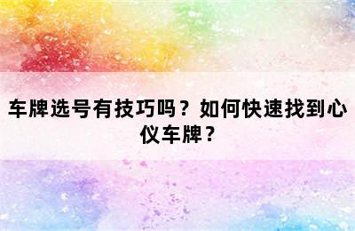 车牌选号有技巧吗？如何快速找到心仪车牌？