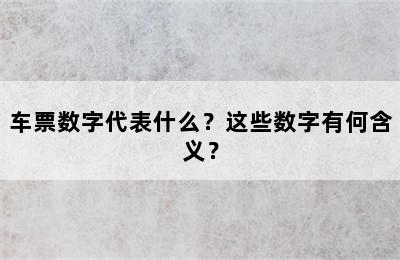 车票数字代表什么？这些数字有何含义？