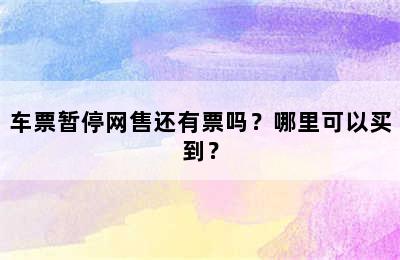 车票暂停网售还有票吗？哪里可以买到？