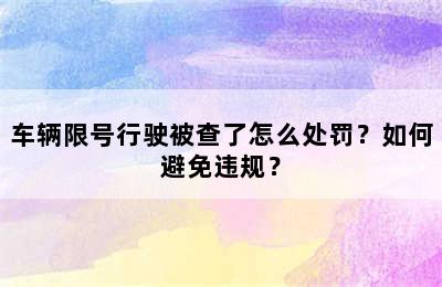 车辆限号行驶被查了怎么处罚？如何避免违规？