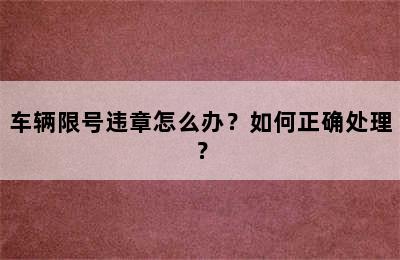 车辆限号违章怎么办？如何正确处理？