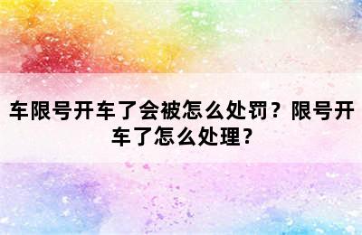 车限号开车了会被怎么处罚？限号开车了怎么处理？