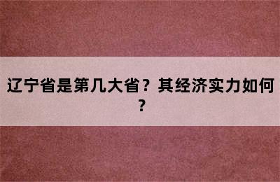 辽宁省是第几大省？其经济实力如何？