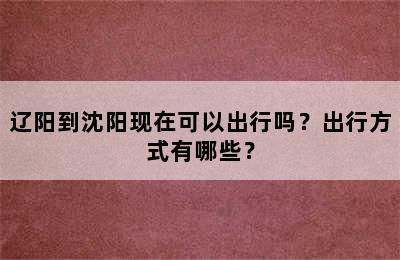 辽阳到沈阳现在可以出行吗？出行方式有哪些？