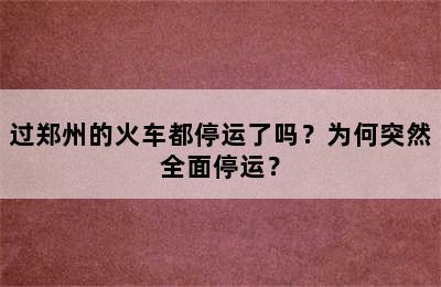 过郑州的火车都停运了吗？为何突然全面停运？