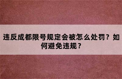 违反成都限号规定会被怎么处罚？如何避免违规？