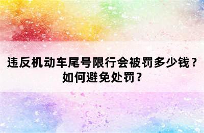 违反机动车尾号限行会被罚多少钱？如何避免处罚？
