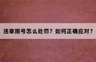 违章限号怎么处罚？如何正确应对？