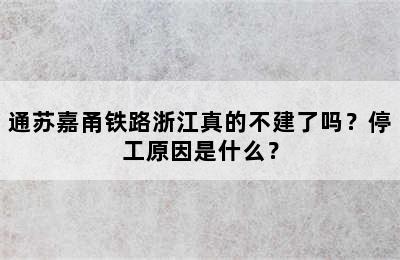 通苏嘉甬铁路浙江真的不建了吗？停工原因是什么？