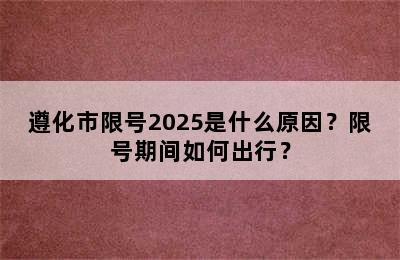 遵化市限号2025是什么原因？限号期间如何出行？