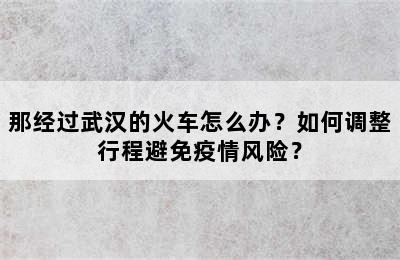 那经过武汉的火车怎么办？如何调整行程避免疫情风险？