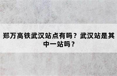 郑万高铁武汉站点有吗？武汉站是其中一站吗？