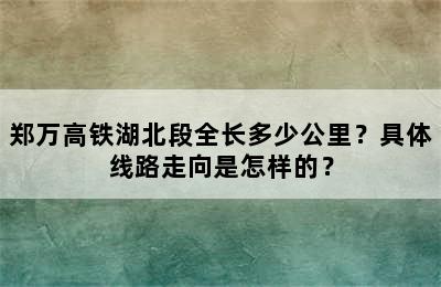 郑万高铁湖北段全长多少公里？具体线路走向是怎样的？