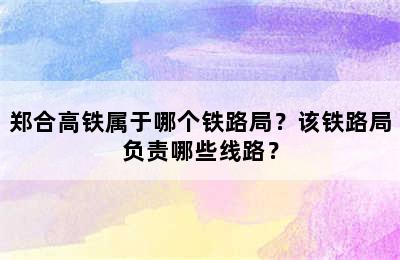郑合高铁属于哪个铁路局？该铁路局负责哪些线路？