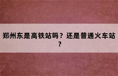 郑州东是高铁站吗？还是普通火车站？