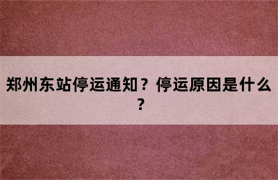 郑州东站停运通知？停运原因是什么？