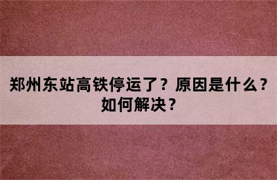 郑州东站高铁停运了？原因是什么？如何解决？