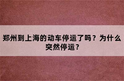 郑州到上海的动车停运了吗？为什么突然停运？