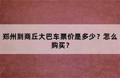 郑州到商丘大巴车票价是多少？怎么购买？
