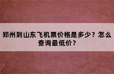 郑州到山东飞机票价格是多少？怎么查询最低价？