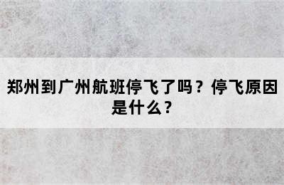郑州到广州航班停飞了吗？停飞原因是什么？