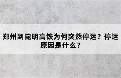 郑州到昆明高铁为何突然停运？停运原因是什么？