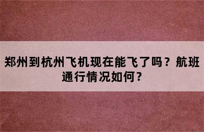 郑州到杭州飞机现在能飞了吗？航班通行情况如何？