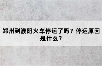 郑州到濮阳火车停运了吗？停运原因是什么？