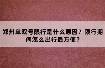 郑州单双号限行是什么原因？限行期间怎么出行最方便？
