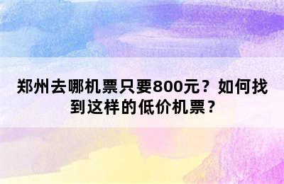 郑州去哪机票只要800元？如何找到这样的低价机票？