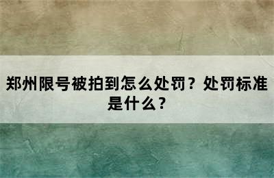 郑州限号被拍到怎么处罚？处罚标准是什么？
