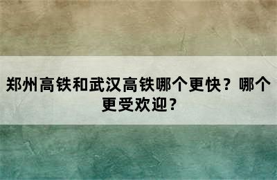 郑州高铁和武汉高铁哪个更快？哪个更受欢迎？