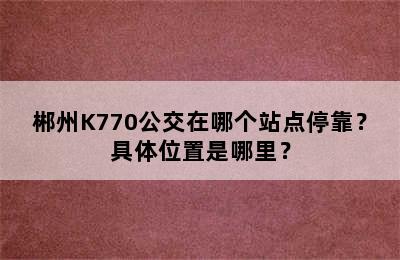 郴州K770公交在哪个站点停靠？具体位置是哪里？