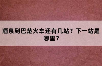 酒泉到巴楚火车还有几站？下一站是哪里？