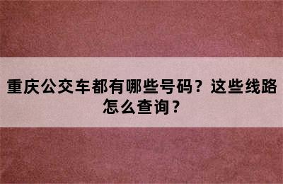 重庆公交车都有哪些号码？这些线路怎么查询？