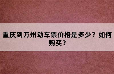重庆到万州动车票价格是多少？如何购买？