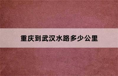 重庆到武汉水路多少公里