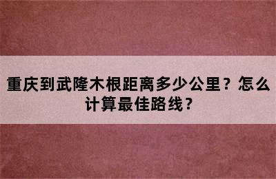 重庆到武隆木根距离多少公里？怎么计算最佳路线？