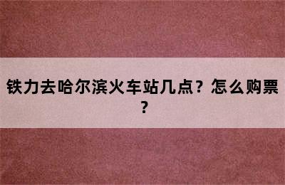 铁力去哈尔滨火车站几点？怎么购票？