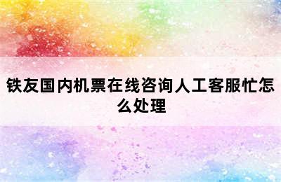 铁友国内机票在线咨询人工客服忙怎么处理