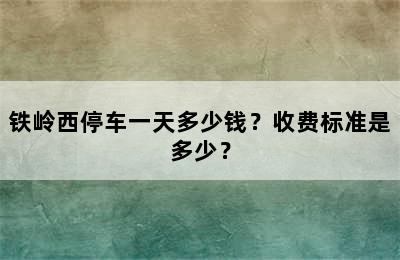 铁岭西停车一天多少钱？收费标准是多少？