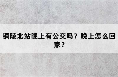 铜陵北站晚上有公交吗？晚上怎么回家？