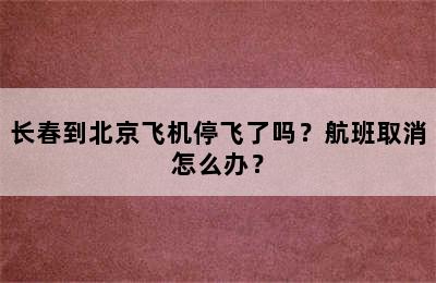长春到北京飞机停飞了吗？航班取消怎么办？