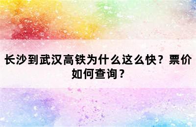 长沙到武汉高铁为什么这么快？票价如何查询？