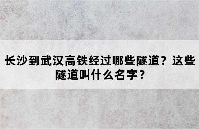 长沙到武汉高铁经过哪些隧道？这些隧道叫什么名字？